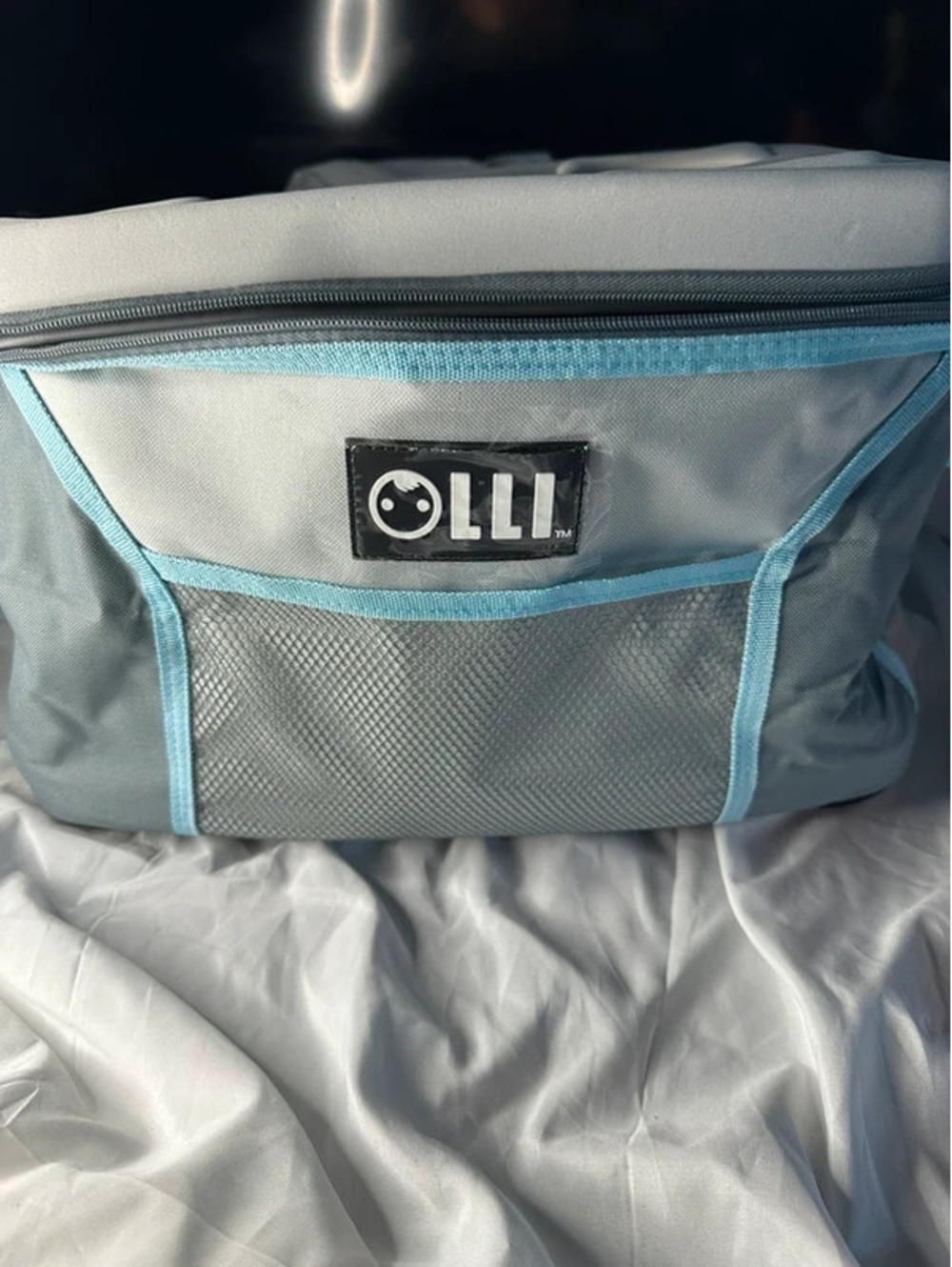 Collapsible cooler